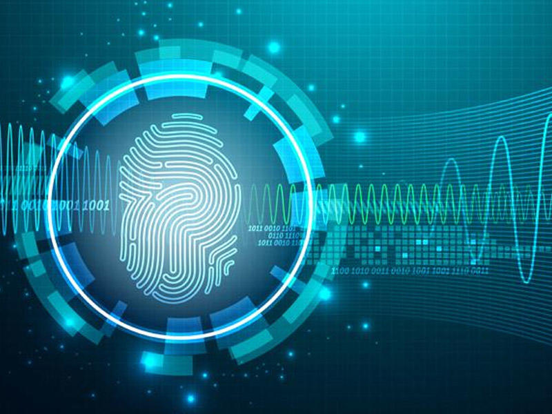 Biometrik texnologiyalar sahəsində hansı ölkə liderdir?
