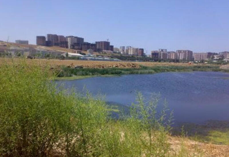 "Qanlı göl"ün ətrafında park salınacaq - RƏSMİ