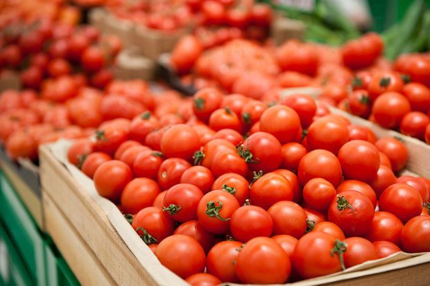 Azərbaycan qadağalara baxmayaraq pomidor ixracında rekord vurub