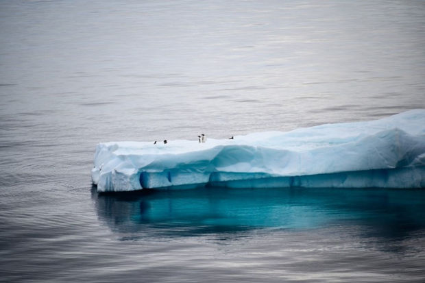 Arktikada buzlaqlar əriməkdə davam edir: Yeni antirekord qeydə alınıb