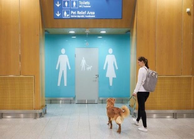 Finlandiyanın hava limanında ev heyvanları üçün tualet açıldı